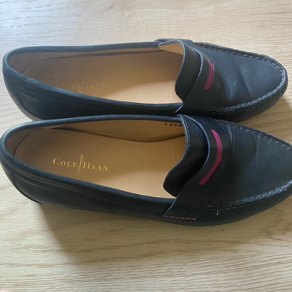 Navy and purple cole Haan loafers